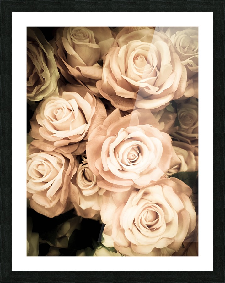 Vintage Roses Picture Frame print