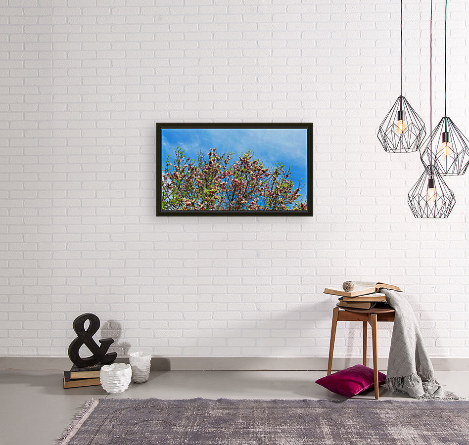 Blossom Sky Reproduction