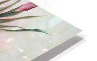 Irises  HD Metal print