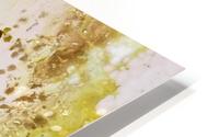 Summer Grass HD Metal print