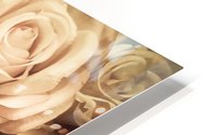 Vintage Roses HD Metal print