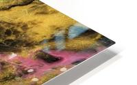 Dazzle  Mystrery HD Metal print