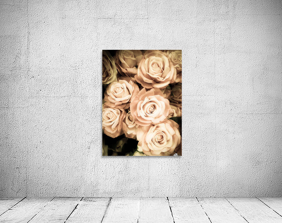 Vintage Roses Wall Preview