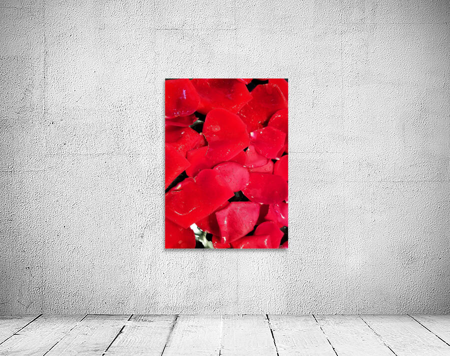 Red Roses Wall Preview