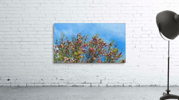 Blossom Sky Wall Preview