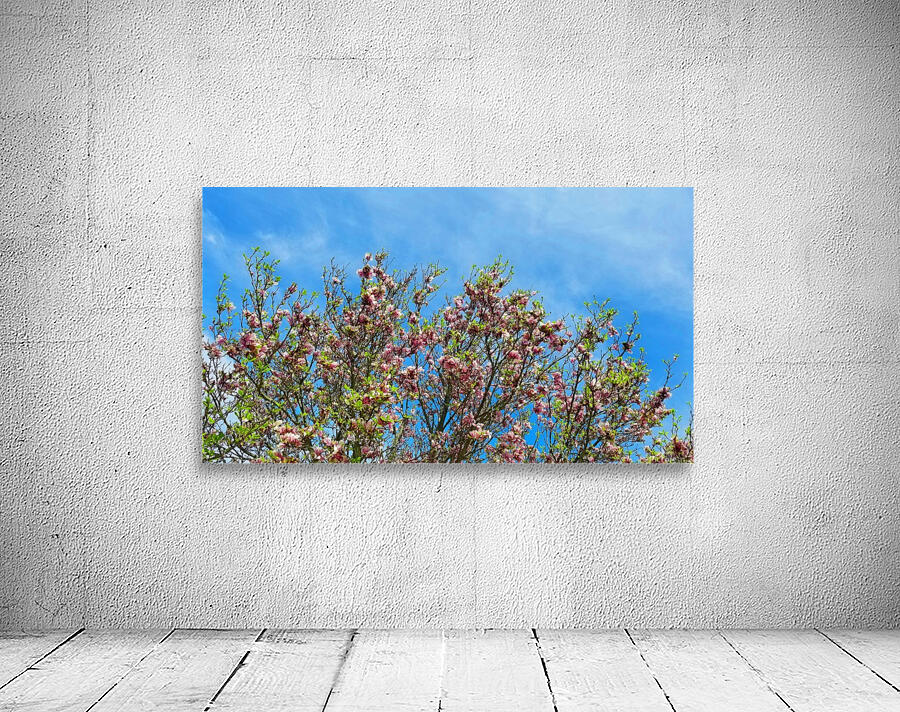 Blossom Sky  Wall Preview