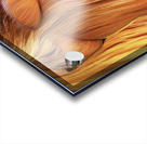 IMG 1817 Acrylic print
