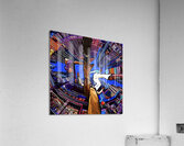 IMG 3166 Acrylic Print