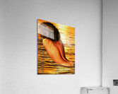 GoldenGirl:GCPS Acrylic Print