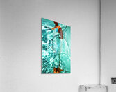 Aqua:GCPS Acrylic Print