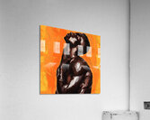Solace:GCPS Acrylic Print
