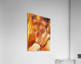 Cedar:GCPS Acrylic Print
