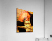 Held.GCPS Acrylic Print