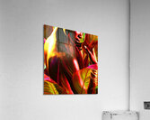 Blooms:GCPS Acrylic Print