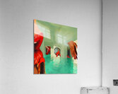 Veil:GCPS Acrylic Print