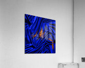 Silken:GCPS Acrylic Print