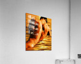 Mirage:GCPS Acrylic Print