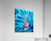 Lustre:GCPS Acrylic Print
