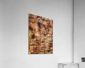 IMG 1819 Acrylic Print