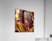 IMG 0939 Acrylic Print