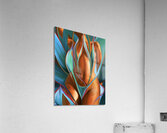 IMG 2667 Acrylic Print