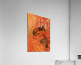 IMG 2567 Acrylic Print