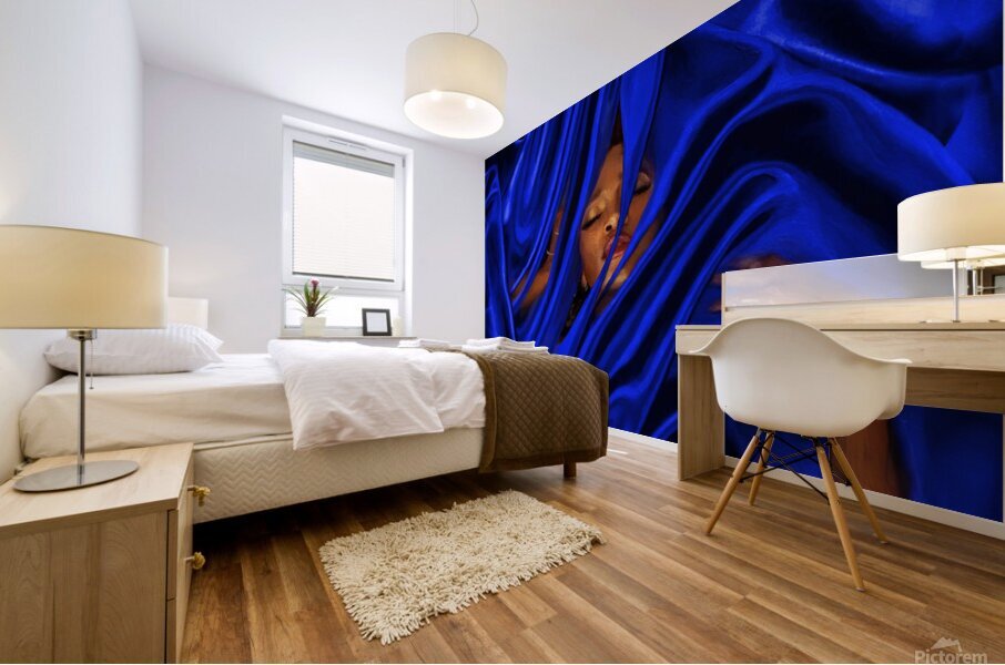 Silken:GCPS Mural print