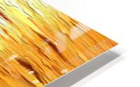 GoldenGirl:GCPS HD Metal print