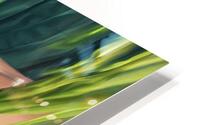 Eden:GCPS HD Metal print