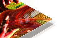 Blooms:GCPS HD Metal print