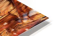 RedWood:GCPS HD Metal print