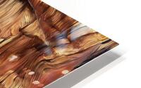 IMG 1819 HD Metal print
