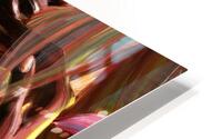 IMG 0939 HD Metal print
