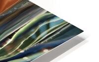 IMG 2668 HD Metal print