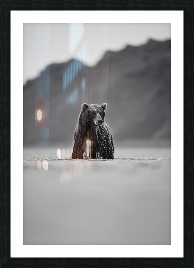 Katmai II  Picture Frame print