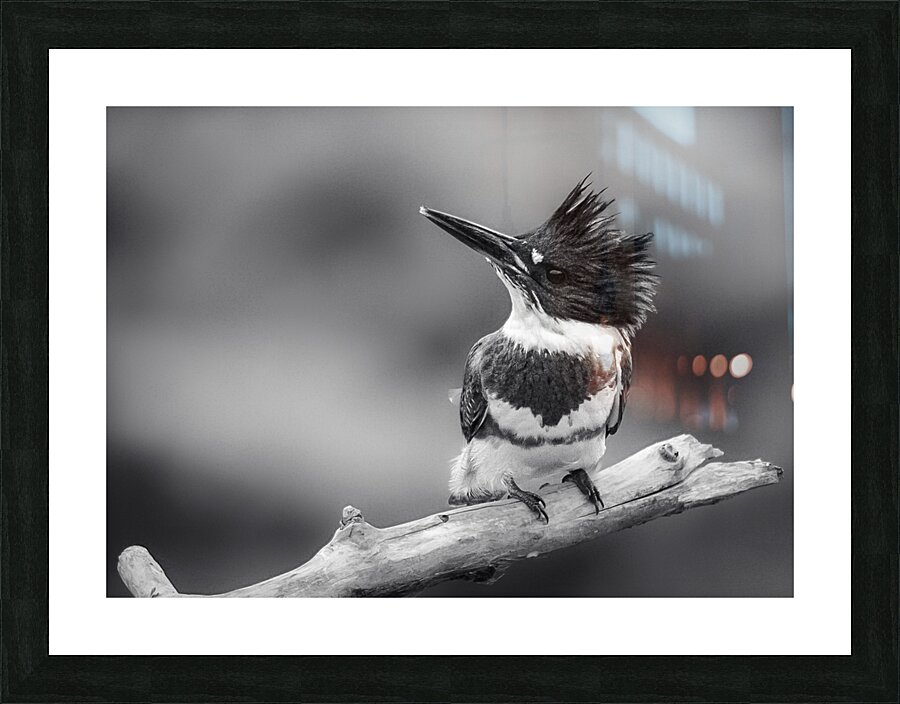 King Picture Frame Printing