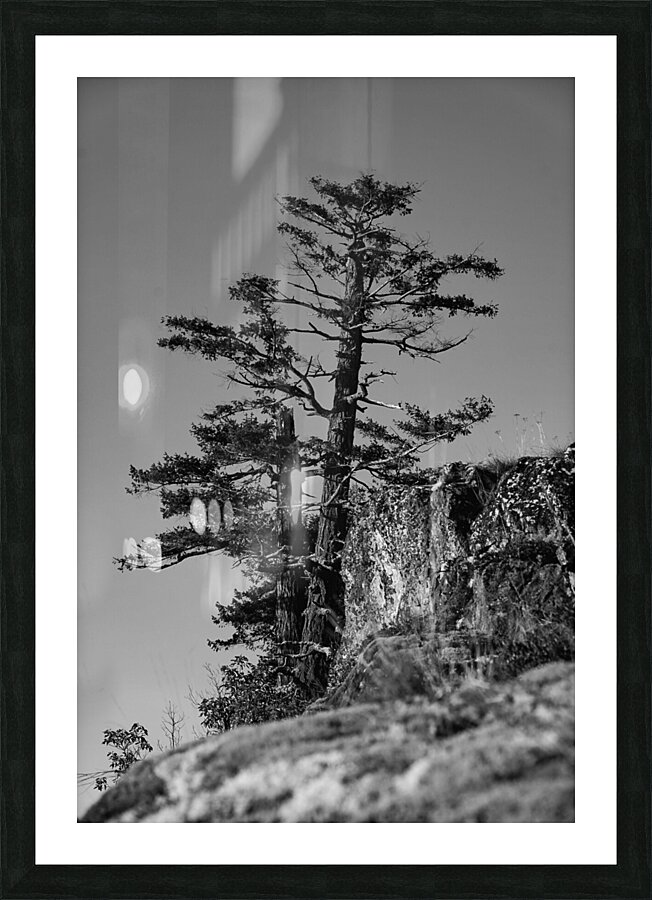 Eyrie  Picture Frame Printing