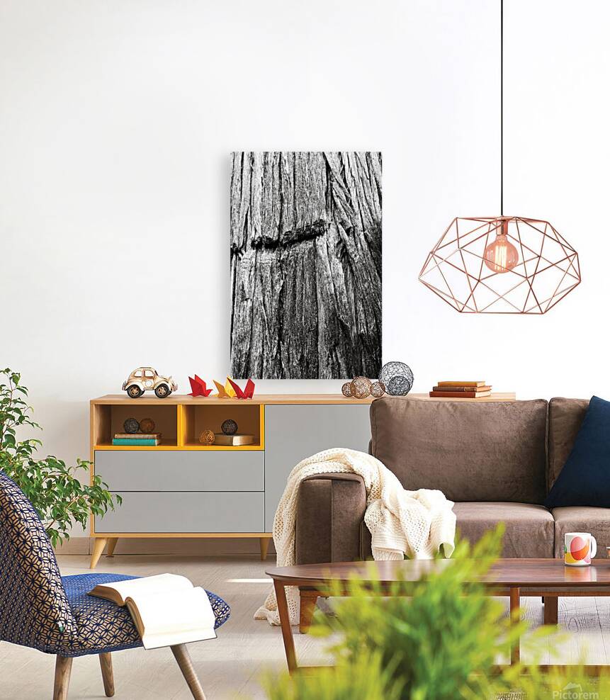 Big Cedar 3  Reproduction