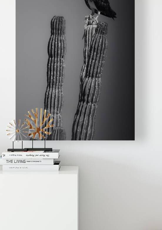 Skewer by Bristol Kennedy