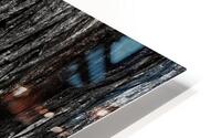 Big Cedar 2  HD Metal print
