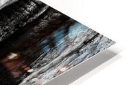 Big Cedar HD Metal print