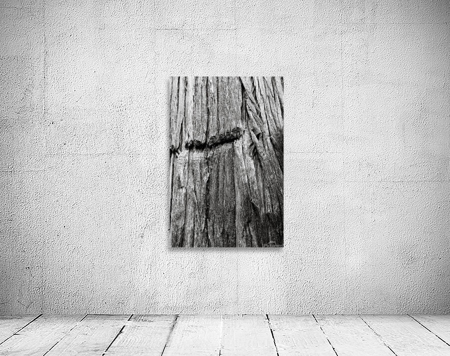 Big Cedar 3  Wall Preview