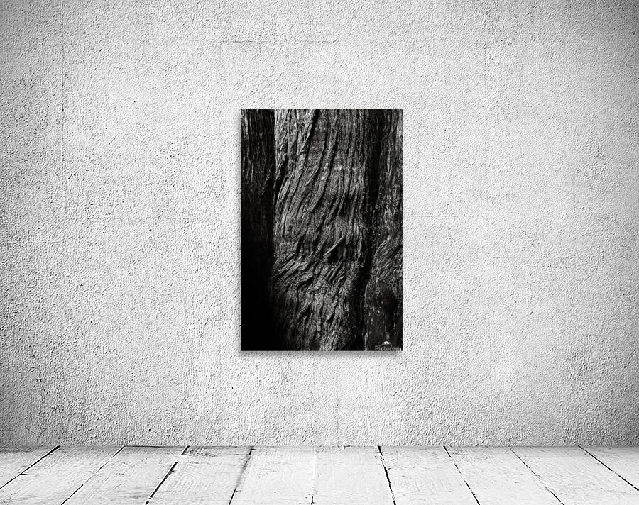Big Cedar 2  Wall Preview