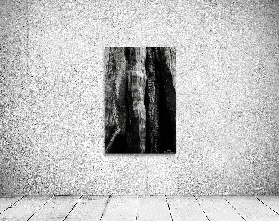 Big Cedar Wall Preview