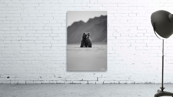 Katmai II  Wall Preview