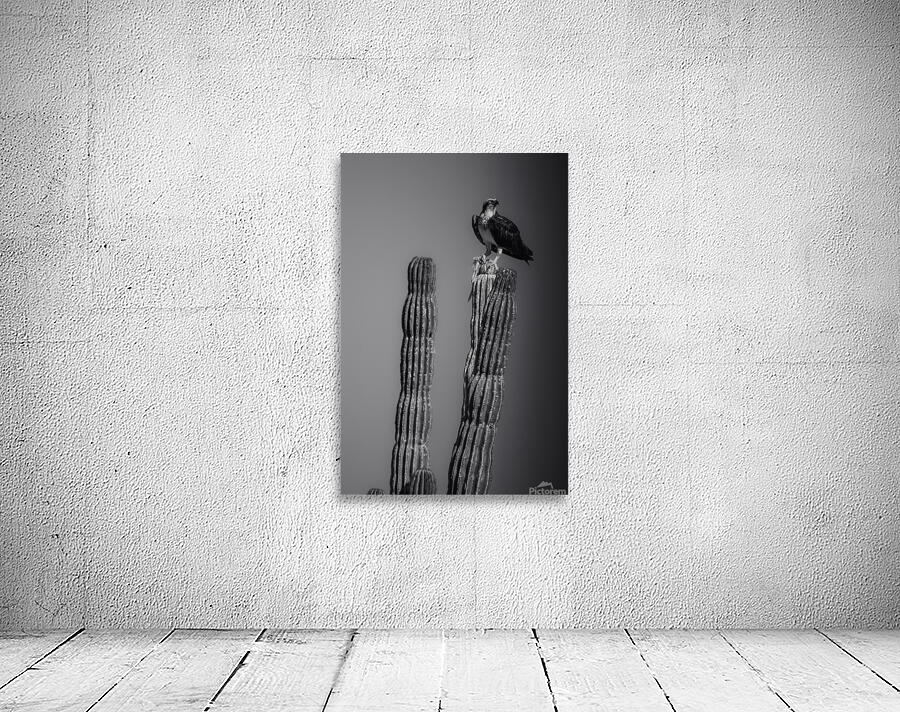Skewer Wall Preview