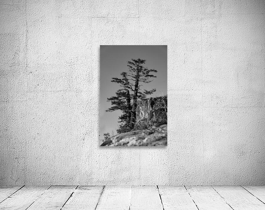 Eyrie  Wall Preview