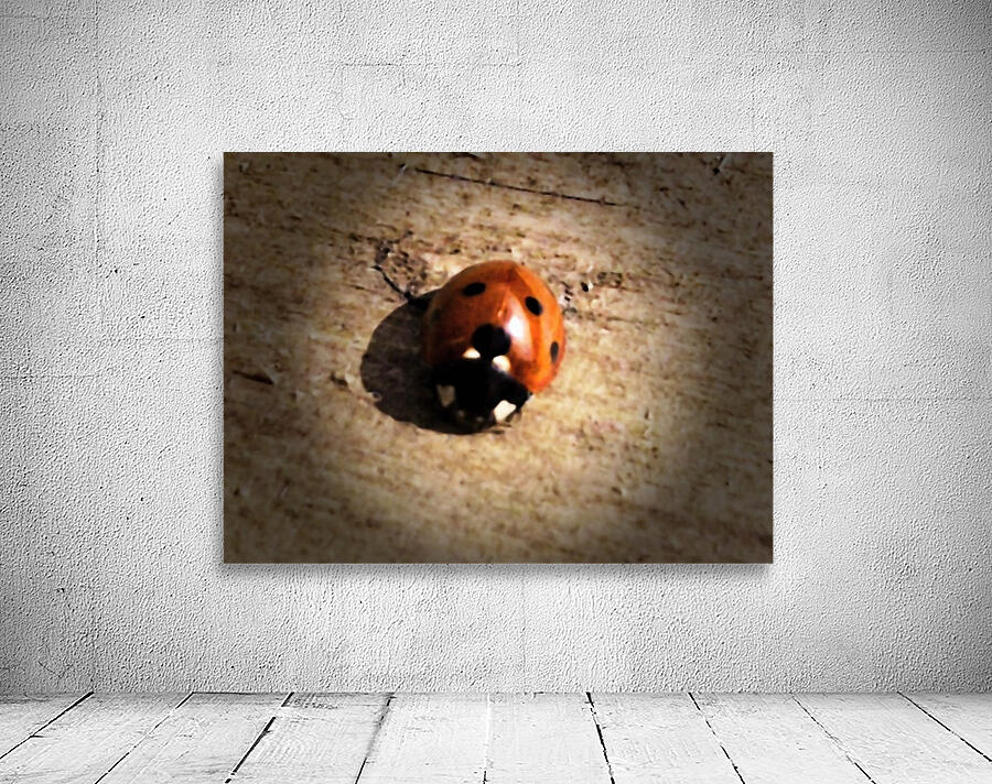 Lady Bird Bug Wall Preview