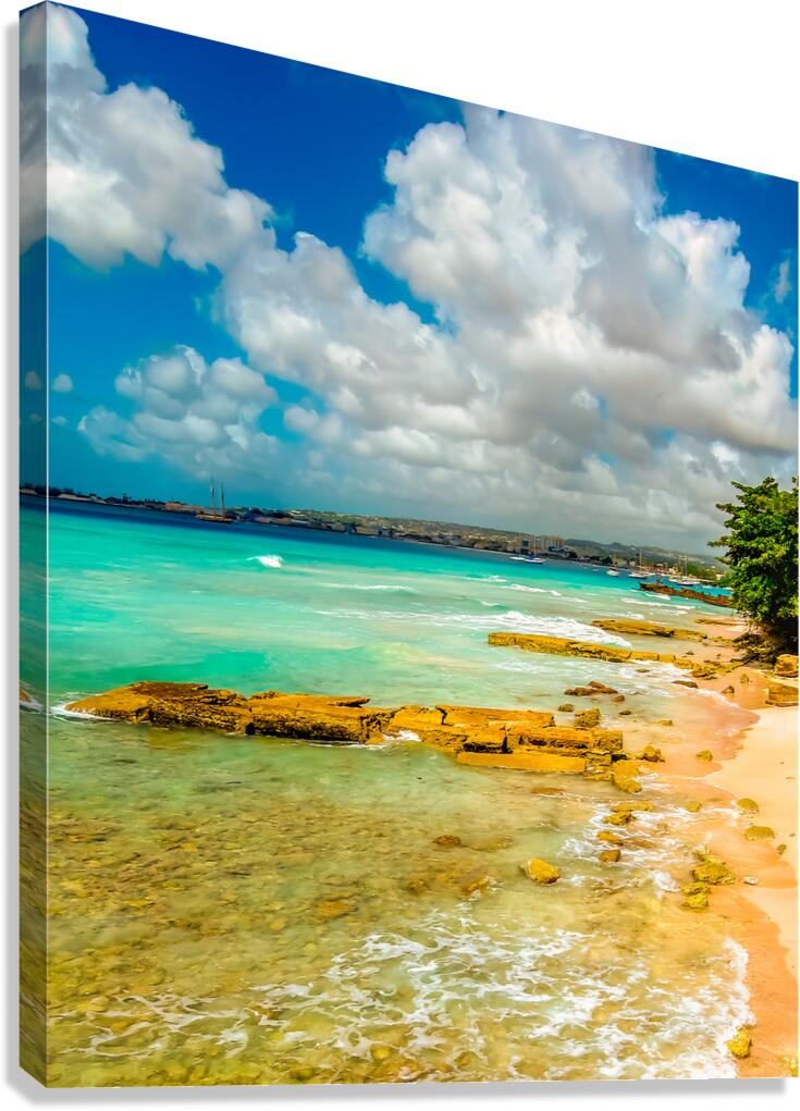 Coastal View