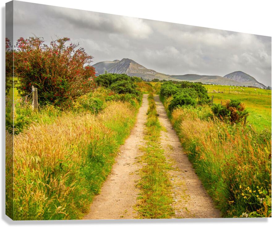 Where the Road Meets the Sky. Canvas Print